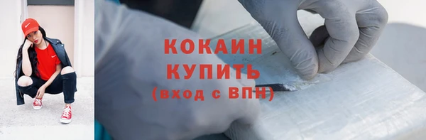 тгк Богородицк