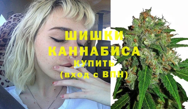 Альфа ПВП Богородск