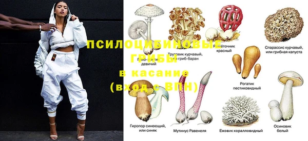 тгк Богородицк