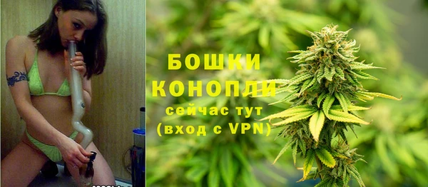 тгк Богородицк