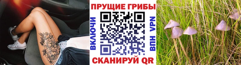 KRAKEN ТОР  дарнет шоп  Гусев  Псилоцибиновые грибы Magic Shrooms 